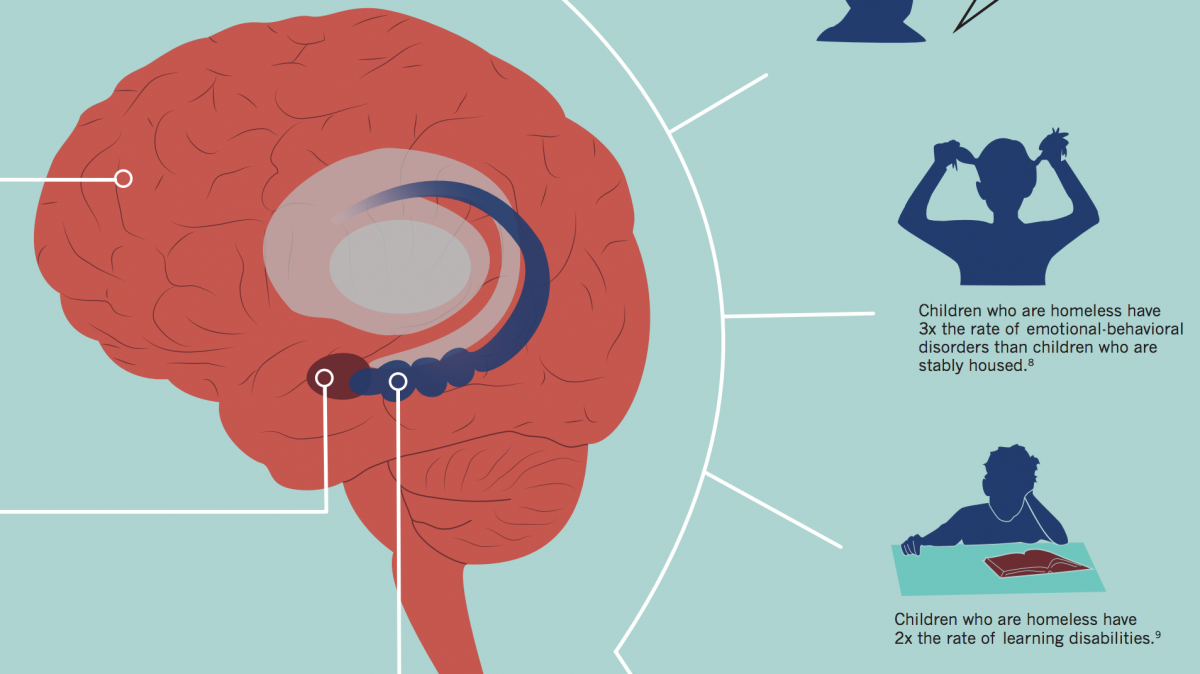 Here is a portion of our new infographic, “The Big Brain.” If you want to see the rest of the infographic, keep reading! Image from the Project on Family Homelessness.