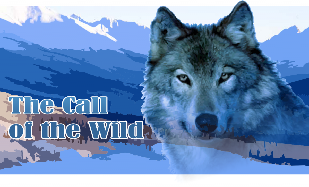 Jack London’s Call of the Wild transports readers to the 1890s Klondike Gold Rush, where sled dogs are in high demand. Image from <a href="https://myfavoritewesterns.files.wordpress.com/2014/01/the-call-of-the-wild.png"><span class="s1">myfavoritewesterns.com</span></a><span class="s2">.